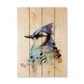 Wile E. Wood 14 x 20 in. Crousers Big Blue Jay Wood Art DCBBJ-1420